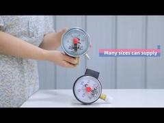 L'appareil est équipé d'un dispositif de mesure de la pression en acier inoxydable, rempli de silicone, et d'une connexion de fond de 100 mm.