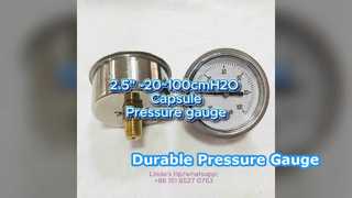 2,5" 60 mm -20 ~ 100 cmH2O Boîtier en acier inoxydable + connexion en laiton