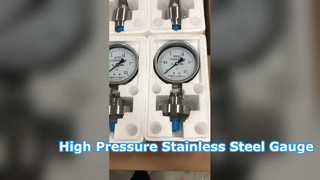 Manomètre à membrane en acier inoxydable 4" 100 mm | Haute pression 0-60 MPa entièrement en acier inoxydable