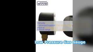 Manomètre à capsule de 63 mm, gaz basse pression