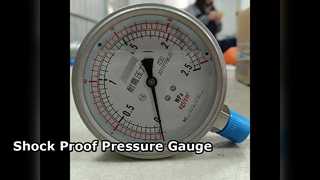 100 mm 4" TOUS SS 0-2,5MPa