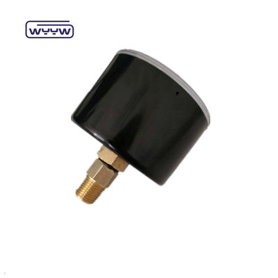 Manomètre capsule à basse pression personnalisable supporté par OEM CMH2O avec connexion arrière