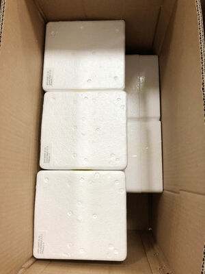 Manomètre à distance 6" 0-1.6MPa – Précision de 1,6 % | Lectures en temps réel