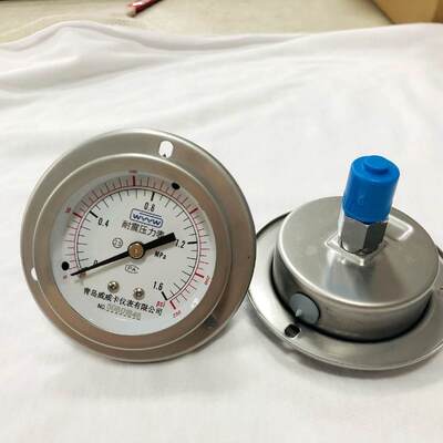 Manomètre résistant aux chocs rempli de liquide à montage sur panneau de 63 mm 2,5 pouces | Jauge en acier inoxydable à bride arrière